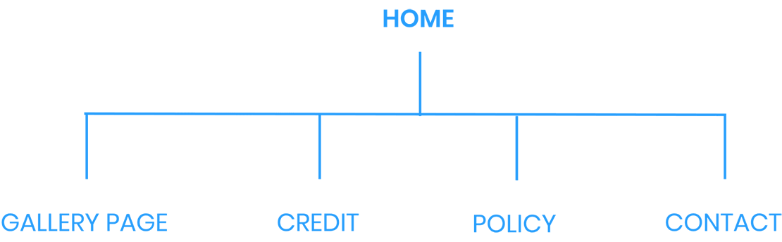 Information Architecture